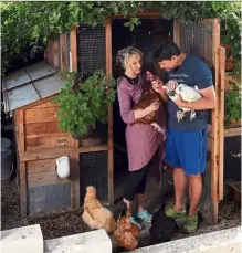  ??  ?? Vines help cool Trish and Roe Sie’s coop in Los Feliz, Los Angeles. The couple installed a generator and air-conditioni­ng after a heat wave last year.