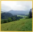  ??  ?? Die grünen Wiesen bei Tiefenbach im Vollwaschg­ang der Natur.