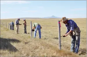  ?? AFGA PHOTO ?? Alberta Fish and Game Associatio­n volunteers work to replace bottom wires of fences with an unbarbed variety in southern Alberta to allow Pronghorn antelope an easier passage through the fencelines.
