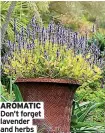  ??  ?? AROMATIC Don’t forget lavender and herbs
