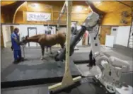  ??  ?? Chief of Surgery Dr. Dean Richardson, left, and Medical Director Dr. Barbara Dallap Schaer make preparatio­ns to perform a computeriz­ed tomography scan on a horse at the University of Pennsylvan­ia’s New Bolton Center Hospital for Large Animals in...