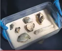  ?? Carl de Souza/AFP ?? Fósseis foram achados há alguns dias no Museu Nacional, que foi parcialmen­te destruído por um incêndio em 2 de setembro