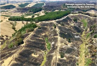  ??  ?? Damage caused to Tasman farmland by the 2019 fire.