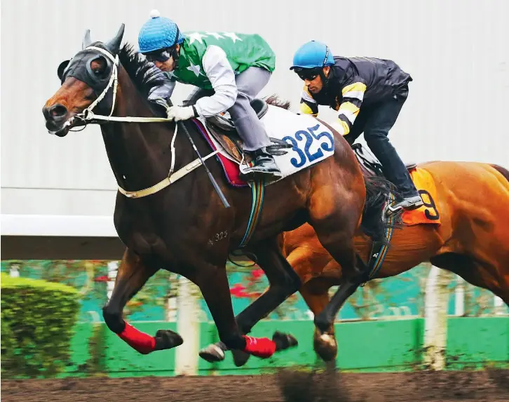 Staying works for Pakistan Star PressReader