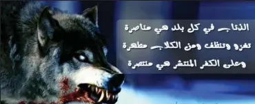  ??  ?? Menace: A ‘lone wolf’ image saved by Mohammed a week before he was arrested