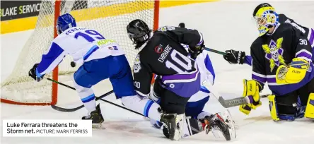  ?? PICTURE: MARK FERRISS ?? Luke Ferrara threatens the Storm net.