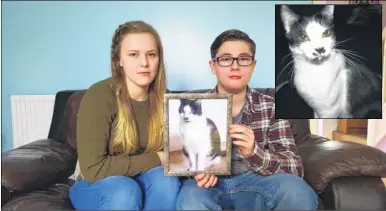  ??  ?? Kayleigh and Connor Franklin are searching for their missing 12-year-old cat Smudge, inset