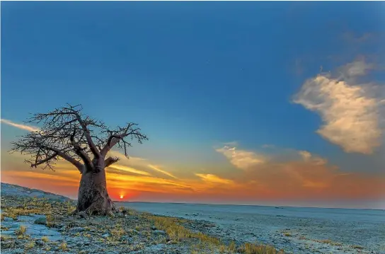  ??  ?? Baobab Sunset at Kubu Island.