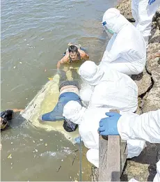  ??  ?? The body of the deceased being taken out from the river near the Idenrasabh water village.