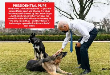  ??  ?? PRESIDENTI­AL PUPS
The Bidens’ German shepherds – 1-year-old rescue Major (rear) and Champ, 14, who’s “extremely well-trained by the Canine Corps … he thinks he’s Secret Service”, says Joe – moved in to the White House on January 24. “The only rule Jill has – and they follow it – is do not get up on the furniture or beds,” says Biden.