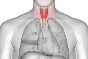  ?? ?? Knowing that thyroid hormones
correlate with the disease severity is important, and the fact that the thyroid gland seems directly involved in SARS-CoV-2 viral infection needs to be taken into account