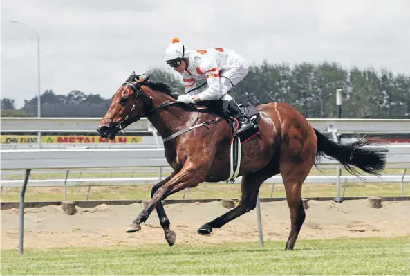  ??  ?? Special: Bounding gives Vinnie Colgan a sweet ride as she wins the Murdoch Newell Stakes at Pukekohe on Saturday.