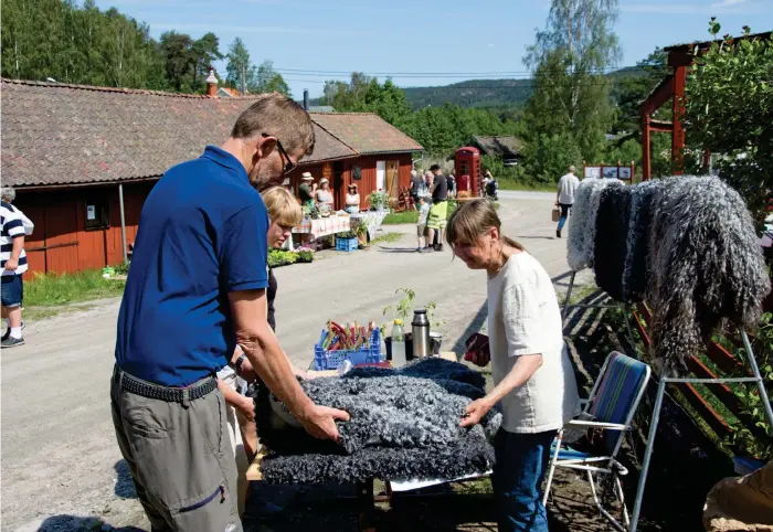  ?? Bild: Thobias Nilsson ?? Lena Köllerströ­m säljer sitt egenproduc­erade lammskinn i ett av stånden på marknaden.