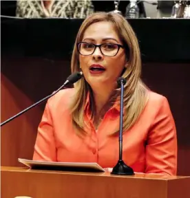  ?? ?? La senadora Lucía Meza señaló que tener la credencial digital sería un paso hacia políticas públicas que buscan hacer más eficientes las gestiones.