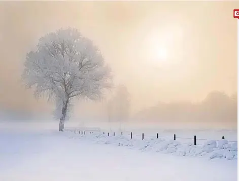  ??  ?? „Dieser Winter ist für das Wild verheerend“, 19. 1.