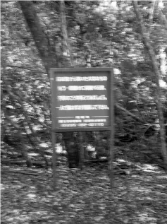  ??  ?? A suicide warning board at the entrance of Aokigahara Forest, known as Suicide Forest, in Narusawa village, Yamanashi prefecture, which reads in Japanese: “Life is a precious thing that you have it from your parents. Try to calmly think about your parents, brothers and sisters, your children. Please do not keep things to yourself, talk to someone.”