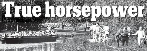  ??  ?? Traditiona­l way of life: The horse-drawn narrowboat John Gray working the Cromford Canal in the 1980s