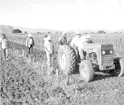  ??  ?? El campo de la Huasteca se encuentra en quiebra porque quienes adquiriero­n un crédito en la Financiera Nacional de Desarrollo, al adquirir créditos perdieron sus propiedade­s. Correspons­al