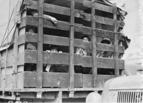  ?? PHOTO BY CLEM ALBERS ?? Dorothea Lange and Clem Albers were among several photograph­ers hired to document the internment of Japanese-Americans during the aftermath of Pearl Harbor. Their photograph­s show one of the shameful chapters of American history.