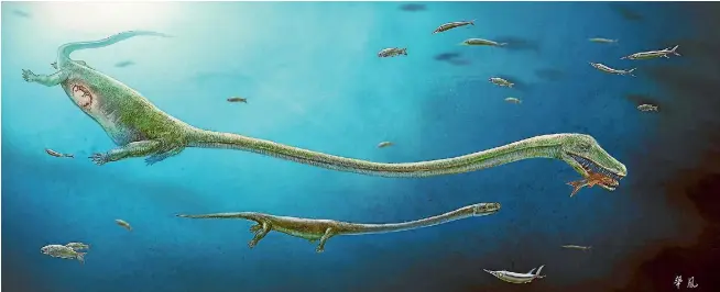  ??  ?? This artist’s impression of dinocephal­osaurus, a fish-eating reptile that lived about 245 million years ago, shows the rough position of the embryo within the mother.