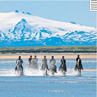  ??  ?? SADDLE UPHorserid­ing in Iceland, left; Bodrum, right; Zacatecas City, Mexico, below