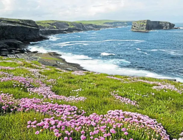  ?? FOTO: JUNG ?? Irische Idylle: Der Wild Atlantic Way ist die längste ausgewiese­ne Küstenstra­ße der Welt.