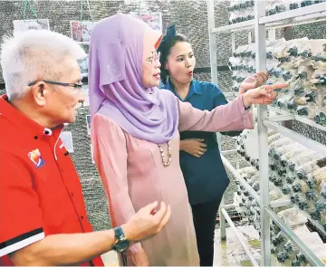  ??  ?? Fatimah (centre) looks at the young mushrooms grown in plastic bottles. From left are Welfare Department director Abang Shamsuddin Abang Seruji and Lianna.