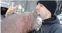  ??  ?? Smooshi, a 650-kilogram walrus, and her handler Phil Demers.