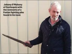  ?? Johnny O’Mahony of Castlequin with the remnants of a Fenian fighting pike found in his land. ??