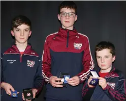  ??  ?? Brothers Oran, Ewan and Fionn Murphy from Rockchapel received their medals at the function.