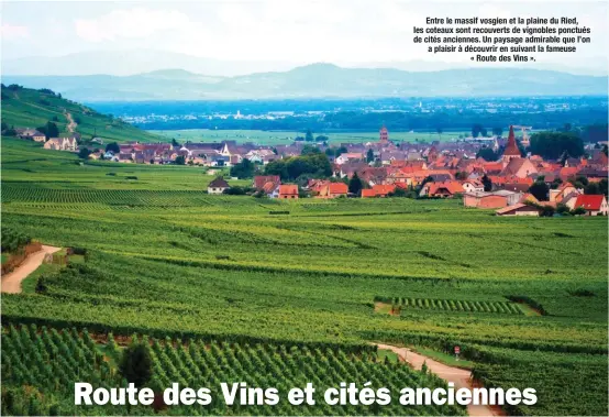  ??  ?? Entre le massif vosgien et la plaine du Ried, les coteaux sont recouverts de vignobles ponctués de cités anciennes. Un paysage admirable que l’on a plaisir à découvrir en suivant la fameuse « Route des Vins ».