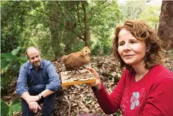  ??  ?? Sitting beside a turkey mound, writer Alasdair McGregor watches on as Dr Ann Goeth explains – with the help of a museum specimen – how a chick faces life on its own from the moment it emerges from the egg.