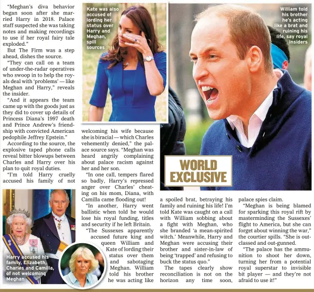  ??  ?? Harry accused his family, Elizabeth, Charles and Camilla, of not welcoming Meghan
Kate was also accused of lording her status over Harry and Meghan, spill sources
William told his brother he’s acting like a brat and
ruining his life, say royal
insiders