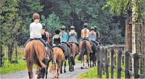  ?? FOTO: NADINE STROBEL ?? Übersichtl­iche Gruppengrö­ßen ermögliche­n individuel­le Betreuung und großen Lernerfolg.