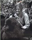  ?? AP ?? Naturalist Dian Fossey is shown with “her” gorillas at a preserve she founded in Rwanda.