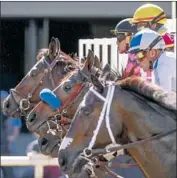  ?? Hayne Palmour IV San Diego Union-Tribune ?? DEL MAR added to its veterinary staff and implemente­d more safety standards for its summer meet.
