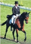  ?? GETTY IMAGES
Photo: ?? Double Olympic eventing champion Sir Mark Todd is helping the Brazil team prepare for the 2016 Rio Olympics, while hoping to compete himself at the age of 60.