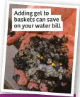  ?? ?? Adding gel to baskets can save on your water bill