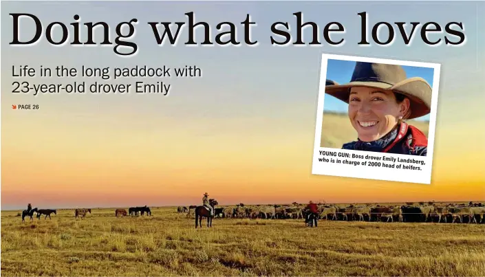  ?? PHOTOS: TRICIA AGAR ?? WIDE OPEN SPACES: The droving team in outback Queensland walking 2000 CPC heifers to McKinlay. YOUNG GUN: Boss drover Emily Landsberg, who is in charge of 2000 head of heifers.