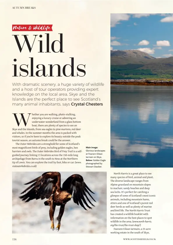  ??  ?? Main image: Glorious landscapes at Fearann Eilean Iarmain on Skye. Below: Golden Eagle photograph­ed by Stewart Dawber.