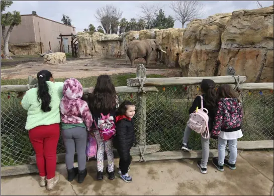  ?? GARY KAZANJIAN — THE ASSOCIATED PRESS ?? Gia Martinez, center, is elated about seeing the large male elephant, Mabhulane (Mabu), near the open area where the zoo’s three elephants roam in Fresno, Calif., on Jan. 19. The community in the heart of California’s farm belt has been drawn into a growing global debate over whether elephants should be in zoos.