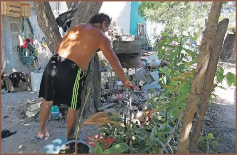  ??  ?? Los seybanos tienen que estar cazando las pocas gotas de agua que llegan a algunas tuberías