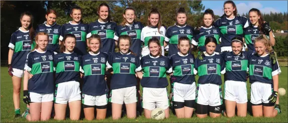  ??  ?? The Bray Emmets team who defeated Baltinglas­s in the Minor ‘B’ football final in Laragh.