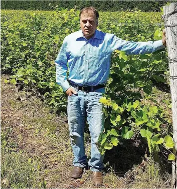  ??  ?? Anthony Carone, le propriétai­re du vignoble Carone, dans Lanaudière, souhaite que les avantages aux vignobles québécois soient maintenus. PHOTO COURTOISIE