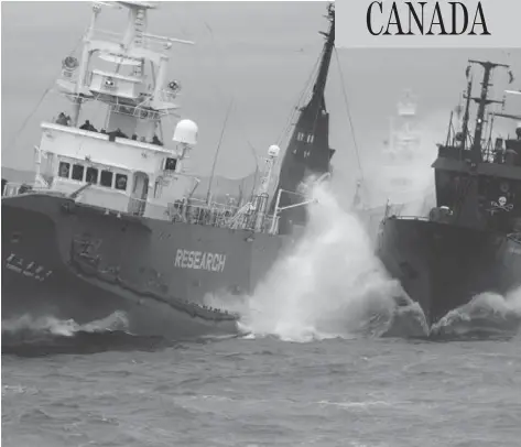  ?? INSTITUTE OF CETACEAN RESEARCH / THE ASSOCIATED PRESS FILES ?? In this 2010 file photo, anti-whaling group Sea Shepherd’s ship the Bob Barker, right, and the Japanese whaling ship No. 3 Yushin Maru collide in the waters of Antarctica. Sea Shepherd has been battling the whaling ships for years, but says it can no...