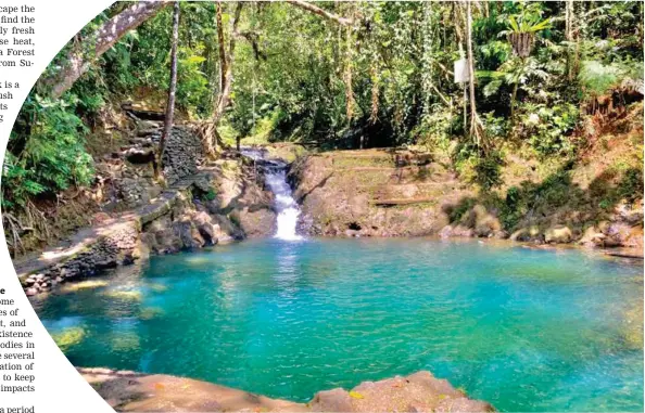  ?? Photo: Ministry of Forestry ?? The biggest and deepest of the Colo-i-Suva swimming holes.