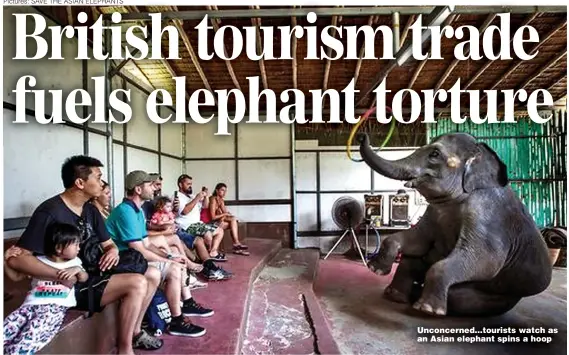  ?? ?? Unconcerne­d…tourists watch as an Asian elephant spins a hoop