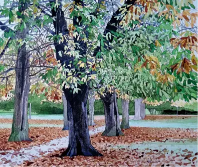  ?? ?? Barnes Common SW13, The Avenue, watercolou­r on Bockingfor­d NOT 200lb, 8x8in (20x20cm). The painting, which was made from the watercolou­r sketch (left) thins out and clearly defines the leaf shapes. The warm orange colours contrast nicely against the almost complement­ary greens and help the colours look bright.