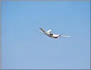  ?? [JAMEY JACOB/OKLAHOMA STATE UNIVERSITY] ?? A drone flies during a test of Vigilant Aerospace Systems' FlightHori­zon 2 software. Vigilant is developing software that will allow drones to fly and navigate autonomous­ly.