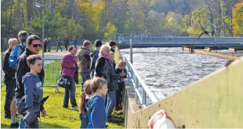  ?? FOTO: STEINHAUSE­R ?? 40 Jahre hochwertig­e Abwasserau­fbereitung im Stadtgebie­t Wangen: Grund genug, die Türen der Zentralklä­ranlage in Pflegelber­g für Technikint­eressierte, Geschäftsp­artner und ansonsten neugierige Besucher zu öffnen. So geschehen beim Tag der Offenen Tür am Sonntag.